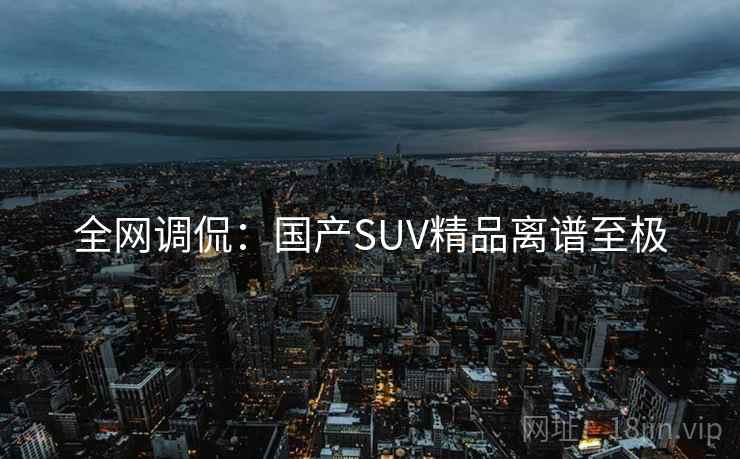 全网调侃：国产SUV精品离谱至极