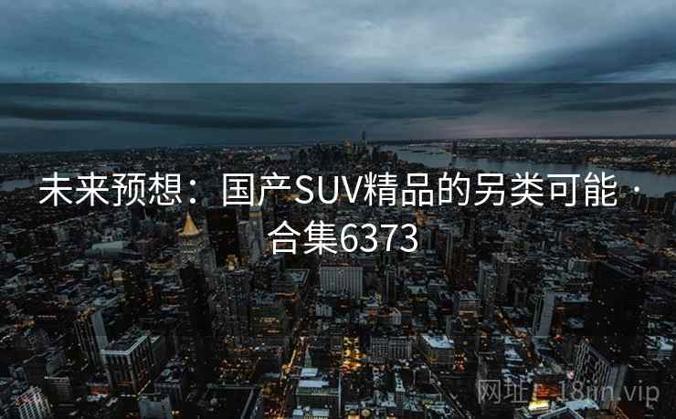 未来预想：国产SUV精品的另类可能 · 合集6373